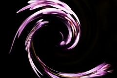 IMG_3246-twirl