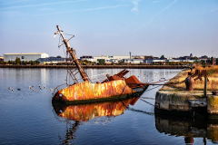 IMG_3855_edited-1