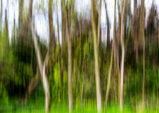 MG_7295_edited-1