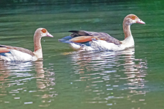 IMG_5718_edited-1