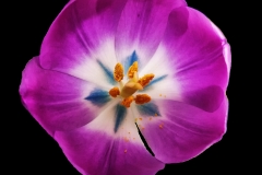 MG_0024_edited-1