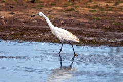 IMG_1689_edited-1
