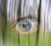 Adamski-effect_edited-1