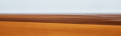IMG_0312_edited-1