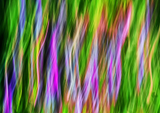 IMG_0427_d_edited-1