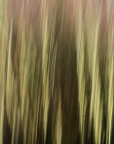 MG_1972_edited-1