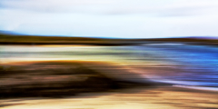 MG_2330_edited-4