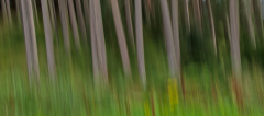 MG_5328_edited-5-2