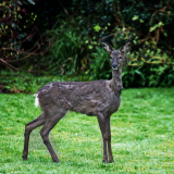 IMG_8180