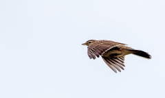 IMG_7972_edited-1