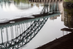 MG_8619_edited-1