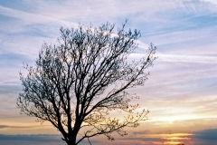 000006_edited-1