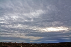 MG_1849_edited-2