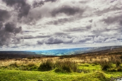 MG_3653_edited-1