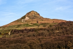 MG_4519_edited-1