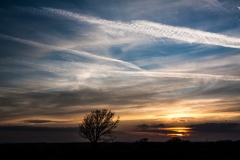 MG_4551_edited-4