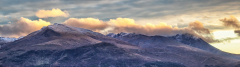 IMG_4382_edited-1