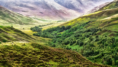 MG_5346_edited-1