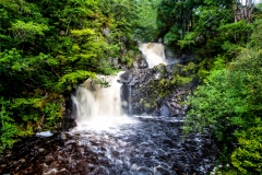 MG_8316_edited-1