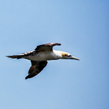 IMG_8762_edited-1