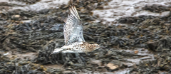 IMG_0656_edited-2
