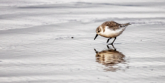 IMG_8065_edited-1