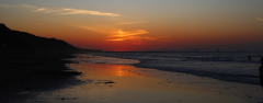 IMG_3008_lum_edited-1