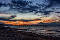 MG_1915_edited-1