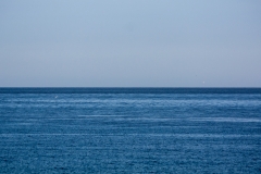 MG_7377_edited-1