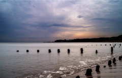 IMG_9458_edited-1