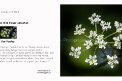 A5_LANDSCAPE_GREETING_CARD