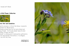 A5_LANDSCAPE_GREETING_CARD